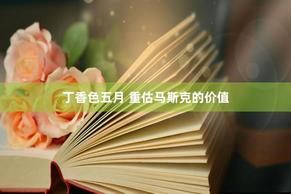 丁香色五月 重估马斯克的价值