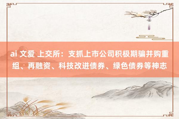 ai 文爱 上交所：支抓上市公司积极期骗并购重组、再融资、科技改进债券、绿色债券等神志