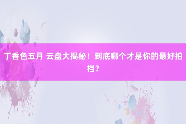 丁香色五月 云盘大揭秘！到底哪个才是你的最好拍档？