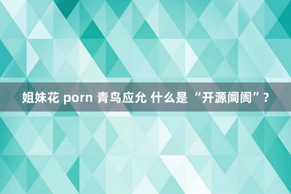 姐妹花 porn 青鸟应允 什么是 “开源阛阓”？