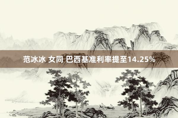 范冰冰 女同 巴西基准利率提至14.25%