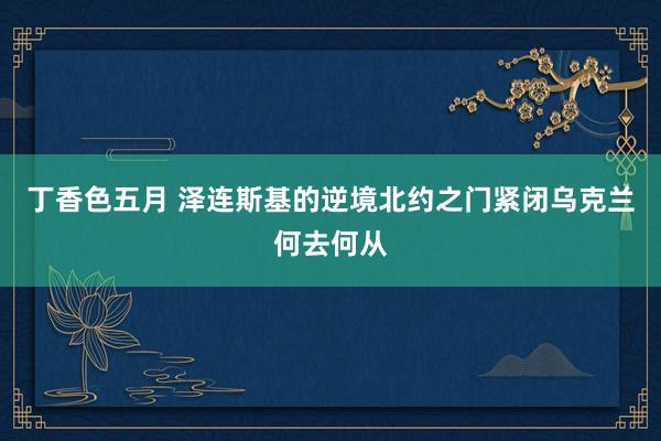 丁香色五月 泽连斯基的逆境北约之门紧闭乌克兰何去何从