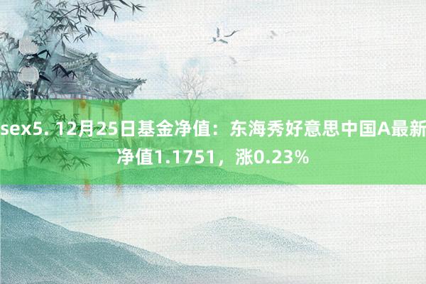 sex5. 12月25日基金净值：东海秀好意思中国A最新净值1.1751，涨0.23%