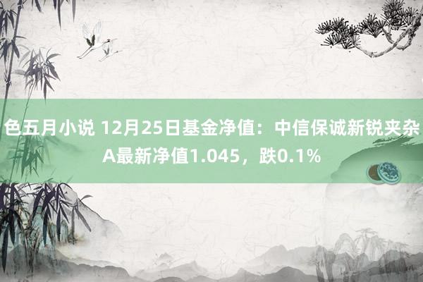 色五月小说 12月25日基金净值：中信保诚新锐夹杂A最新净值1.045，跌0.1%