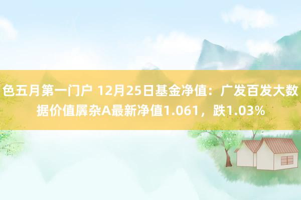 色五月第一门户 12月25日基金净值：广发百发大数据价值羼杂A最新净值1.061，跌1.03%