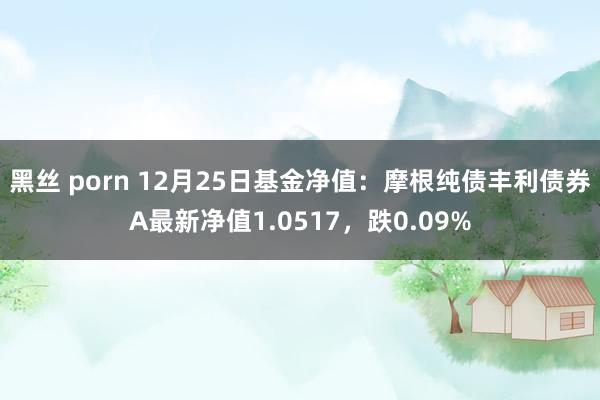 黑丝 porn 12月25日基金净值：摩根纯债丰利债券A最新净值1.0517，跌0.09%