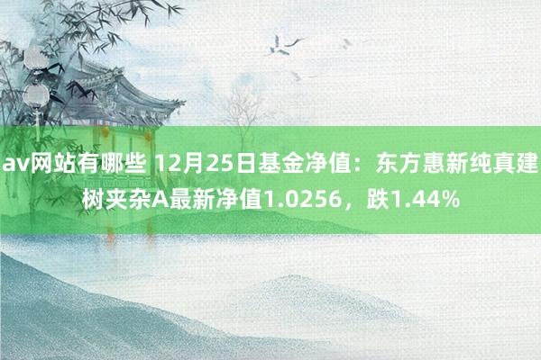 av网站有哪些 12月25日基金净值：东方惠新纯真建树夹杂A最新净值1.0256，跌1.44%