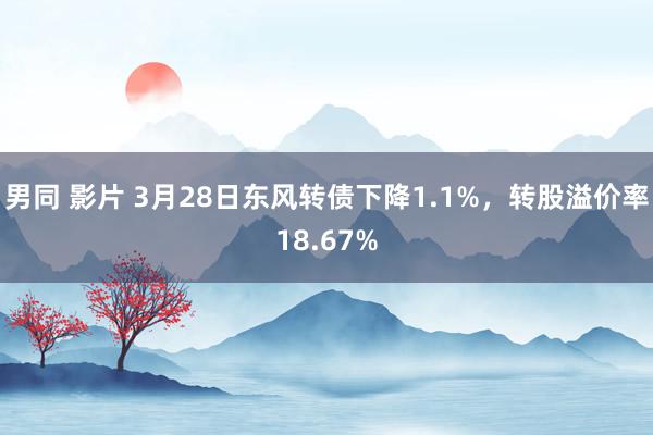 男同 影片 3月28日东风转债下降1.1%，转股溢价率18.67%