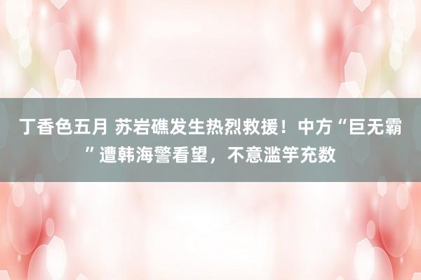 丁香色五月 苏岩礁发生热烈救援！中方“巨无霸”遭韩海警看望，不意滥竽充数