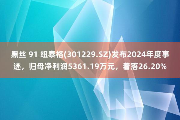 黑丝 91 纽泰格(301229.SZ)发布2024年度事迹，归母净利润5361.19万元，着落26.20%