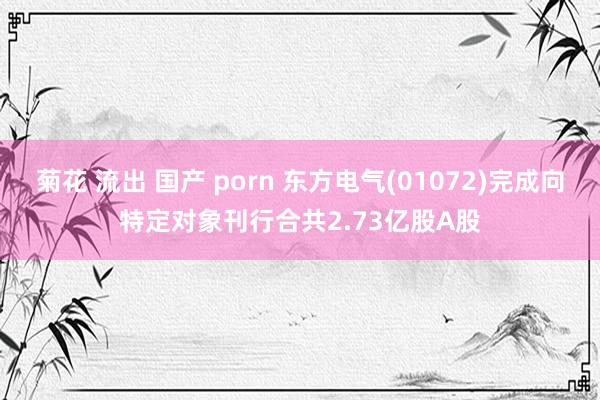 菊花 流出 国产 porn 东方电气(01072)完成向特定对象刊行合共2.73亿股A股