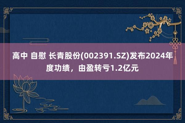 高中 自慰 长青股份(002391.SZ)发布2024年度功绩，由盈转亏1.2亿元