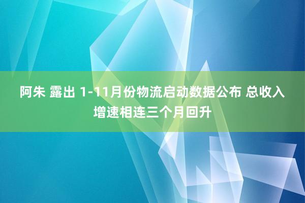 阿朱 露出 1-11月份物流启动数据公布 总收入增速相连三个月回升