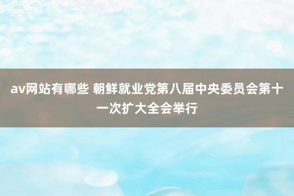 av网站有哪些 朝鲜就业党第八届中央委员会第十一次扩大全会举行