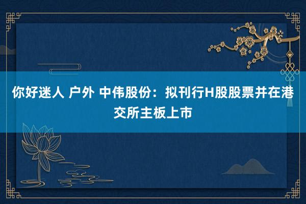 你好迷人 户外 中伟股份：拟刊行H股股票并在港交所主板上市