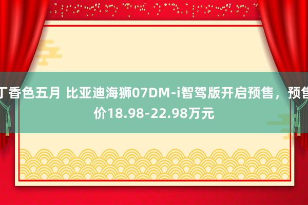 丁香色五月 比亚迪海狮07DM-i智驾版开启预售，预售价18.98-22.98万元
