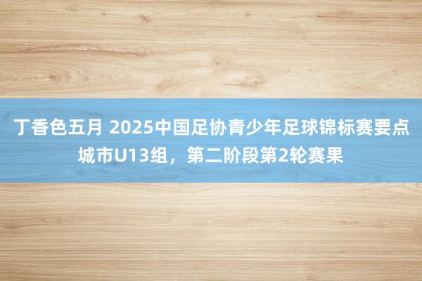 丁香色五月 2025中国足协青少年足球锦标赛要点城市U13组，<a href=