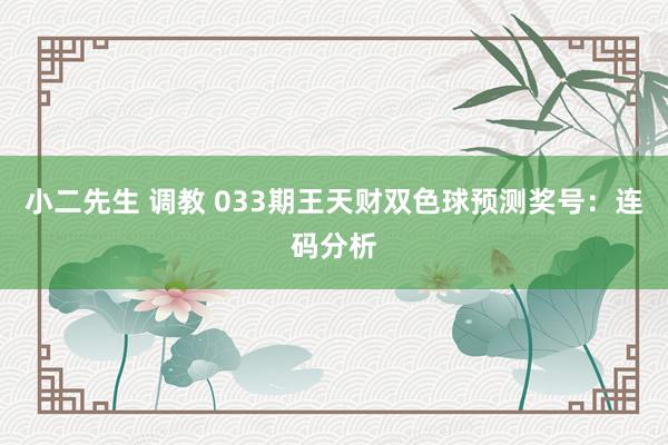 小二先生 调教 033期王天财双色球预测奖号：连码分析