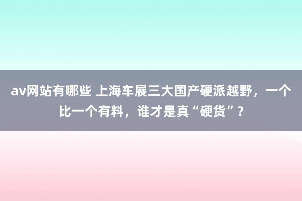 av网站有哪些 上海车展三大国产硬派越野，一个比一个有料，谁才是真“硬货”？