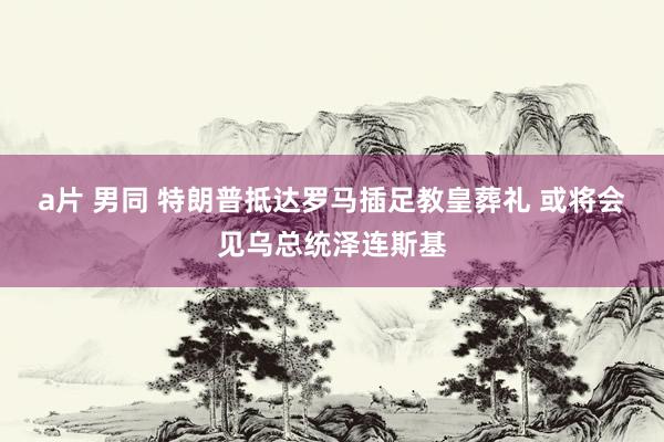 a片 男同 特朗普抵达罗马插足教皇葬礼 或将会见乌总统泽连斯基