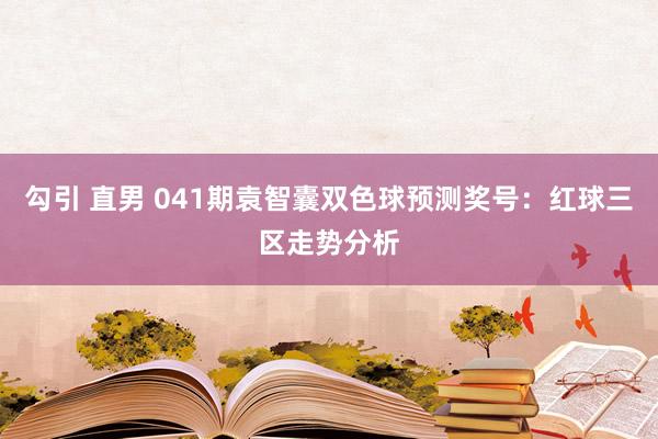 勾引 直男 041期袁智囊双色球预测奖号：红球三区走势分析